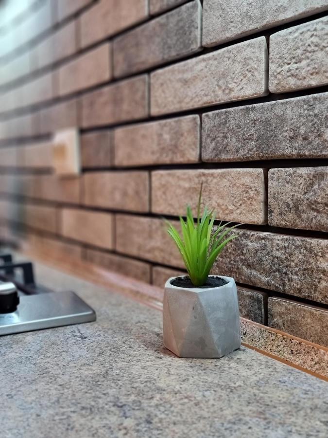 Petropavlivska Apartment Тиха Вуличка В Центрі Старого Міста Kamianets-Podilskyi Exterior foto